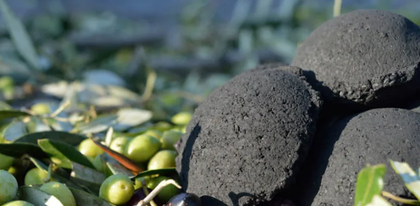 Sostenibilidad en carbón vegetal